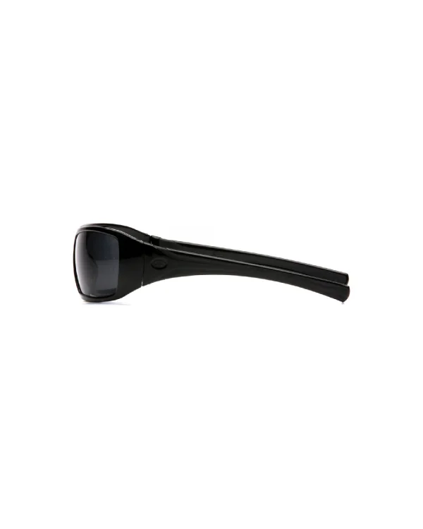 Pyrmaex Goliath smoky glasses 2