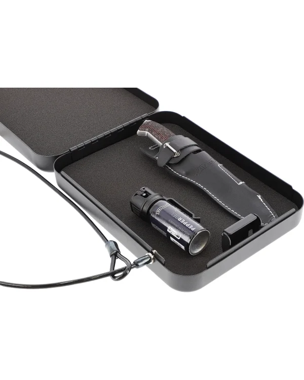 Umarex Handgun Safe L 2
