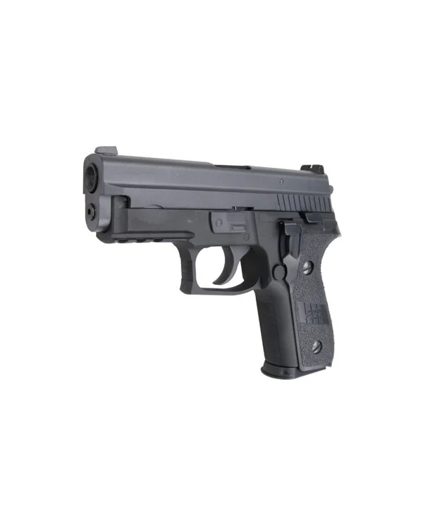 WE P229R 4