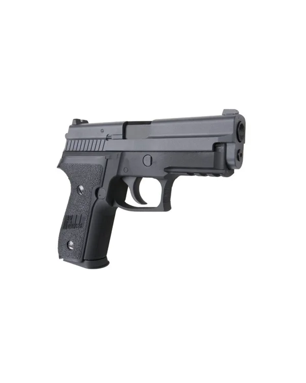 WE P229R 7